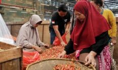 berita-pilihan-foto