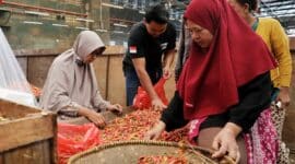 <p>Pramono Pastikan Lonjakan Harga Cabai tak Ganggu Inflasi</p>