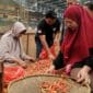 <p>Pramono Pastikan Lonjakan Harga Cabai tak Ganggu Inflasi</p>