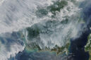Ilustrasi: citra satelit sebaran asap karhutla di Kalimantan pada 2019. (Foto: NASA via Wikimedia Commons)