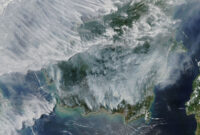 Ilustrasi: citra satelit sebaran asap karhutla di Kalimantan pada 2019. (Foto: NASA via Wikimedia Commons)
